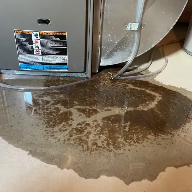 Appliance Leak Cleanup in Stone Ridge, NY